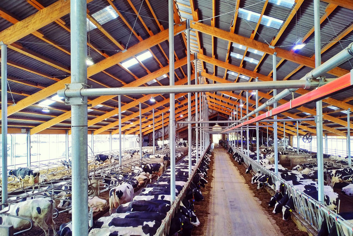 viehaltung viehaltung