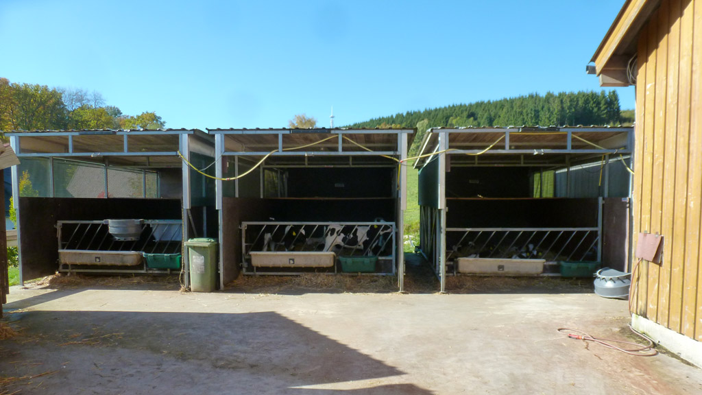 kaelber_3 kaelber_3